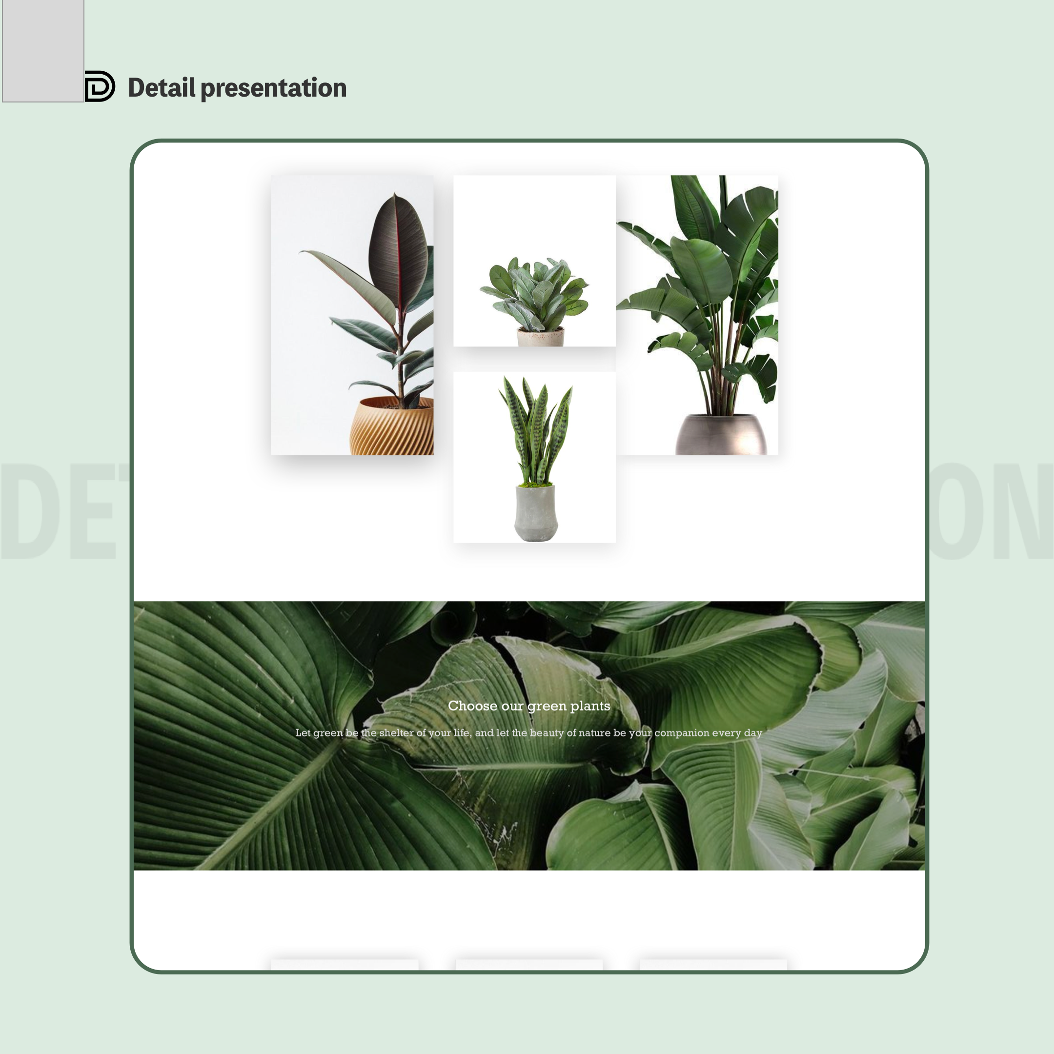 Organic, layered composition suggesting crawl depth and natural topic growth